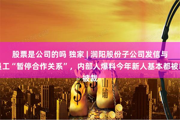 股票是公司的吗 独家 | 润阳股份子公司发信与员工“暂停合作关系”，内部人爆料今年新人基本都被裁